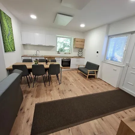 Apartma Pohorc - Macesen דירה *