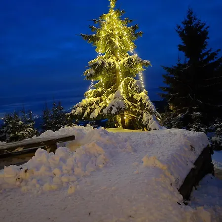 Apartma Pohorc - Macesen