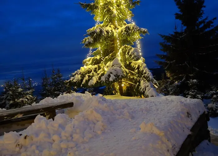 Apartma Pohorc - Macesen